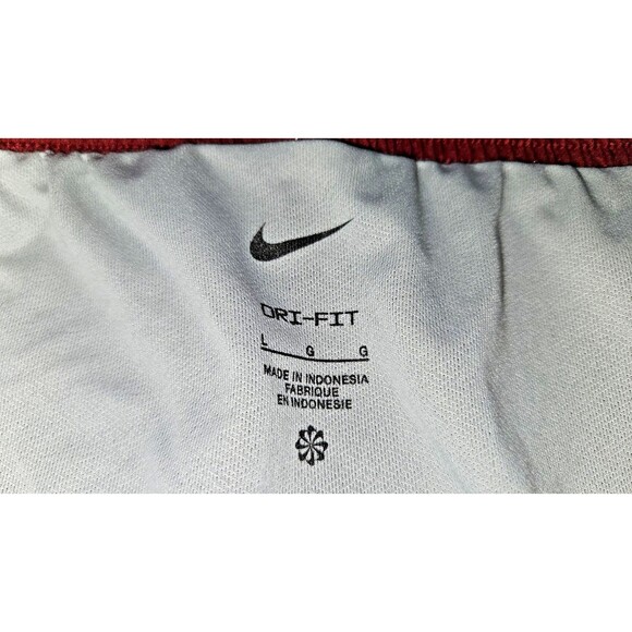 NIKE Arkansas University Razorbacks Dri-FIT Lined Red Shorts Size L Running Gym - Picture 5 of 8